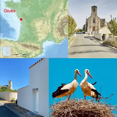 Galta Des Matrus Cosy 8kms De L Ocean Апартаменты Grues